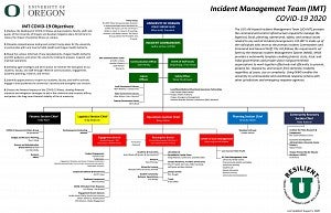 IMT Org Chart