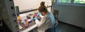 A student working in a lab wearing PPE
